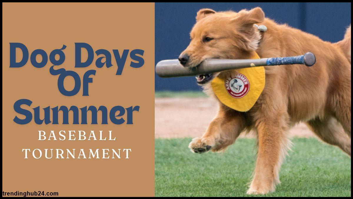 Full Detail Of Dogs Days Of Summer Baseball.jpg